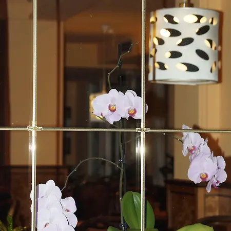 Sonneneck Hotel Winterberg