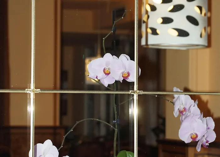 索奈克酒店 酒店 温特贝格