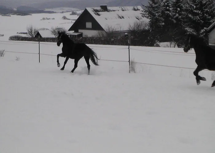 Sonneneck Winterberg